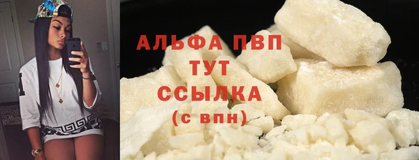 эйфоретик Богданович