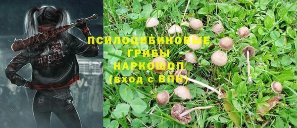 ALPHA PVP Покровск