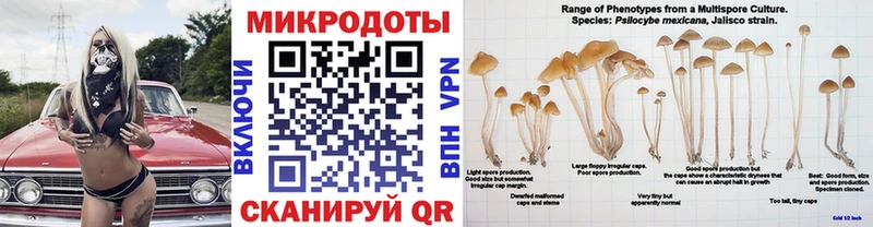 OMG ССЫЛКА  Благодарный  это как зайти  Галлюциногенные грибы мицелий 